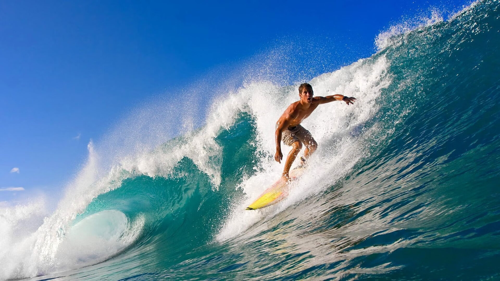 意大利马术协会推出马术运动员健康管理系统，关注运动员身心健康。